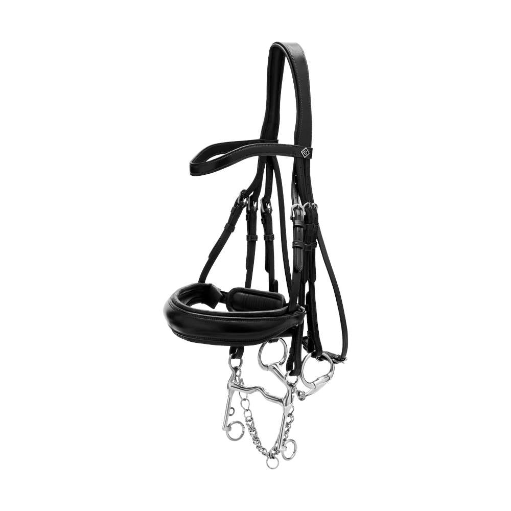 Kandare mit breitem schwedischem Reithalfter