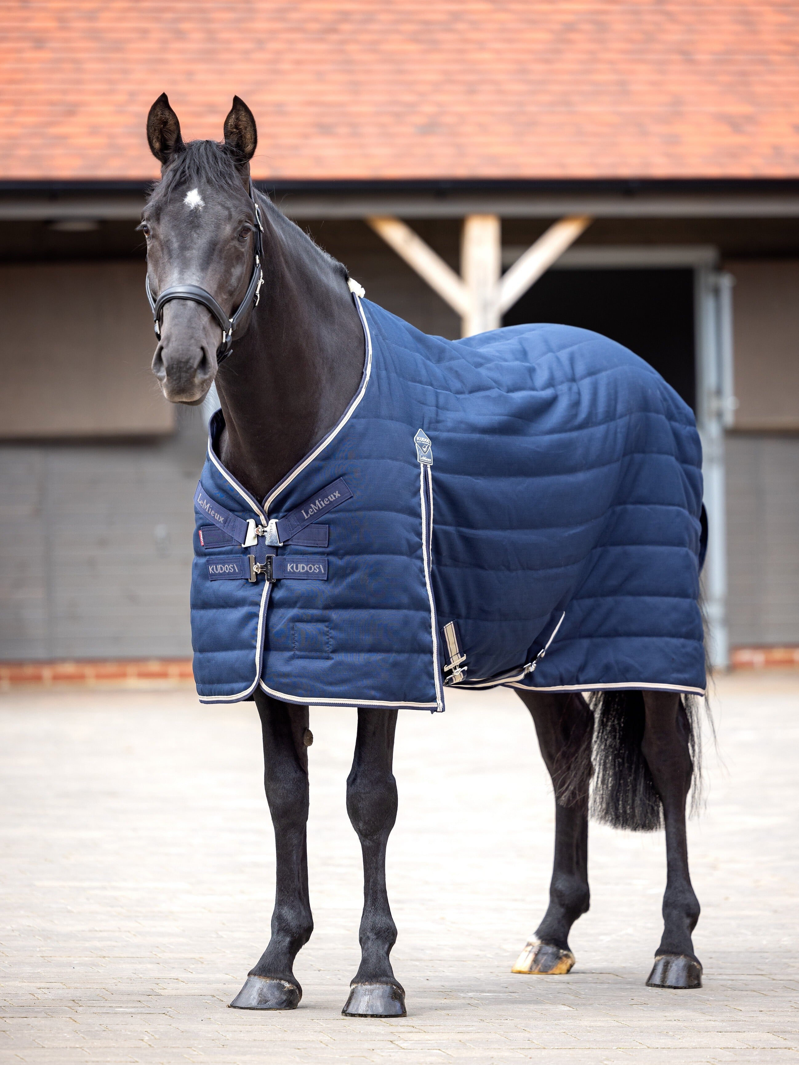 Kudos Stalldecke 200g