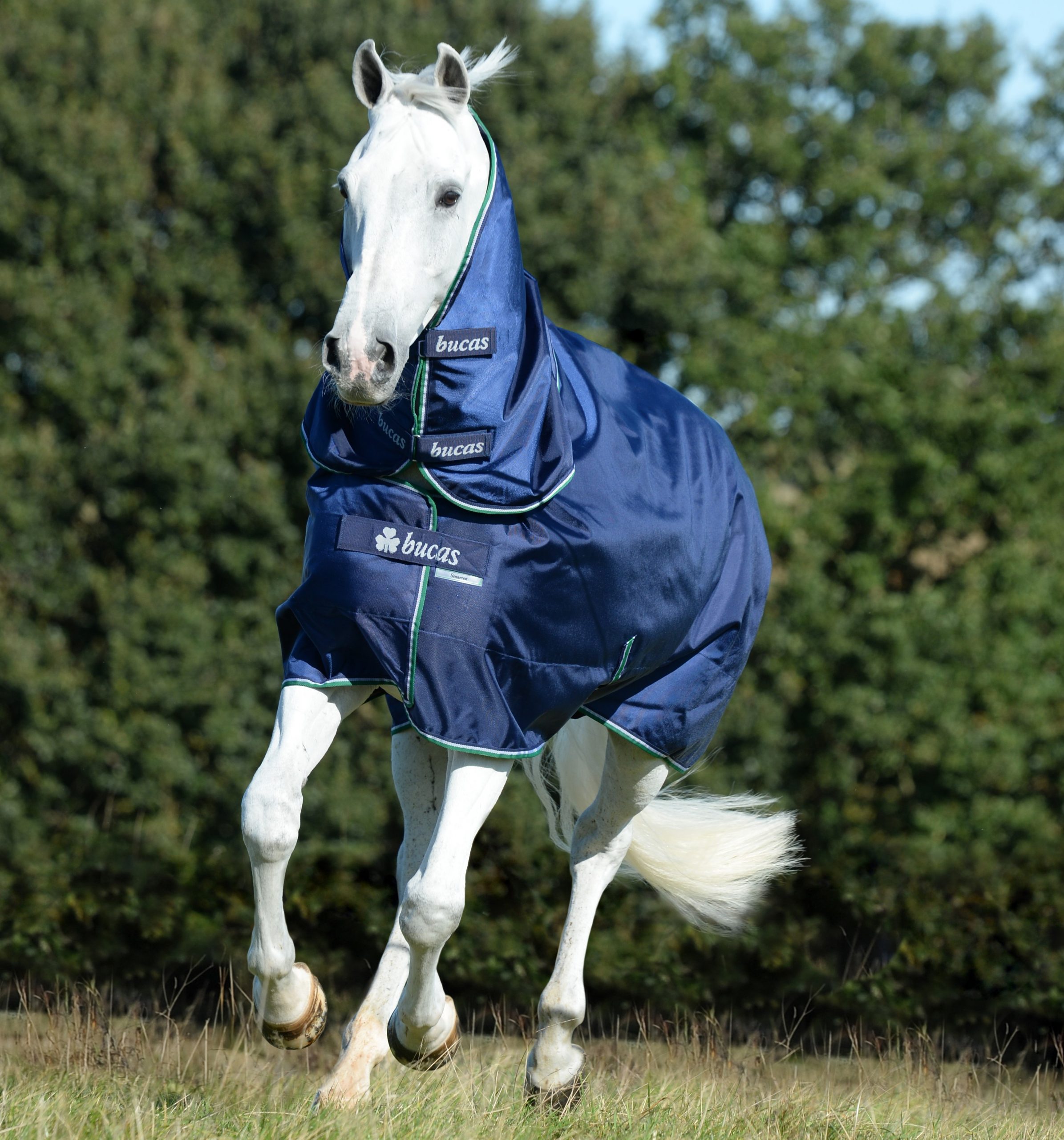 Halsteil Smartex Turnout Neck in Blue