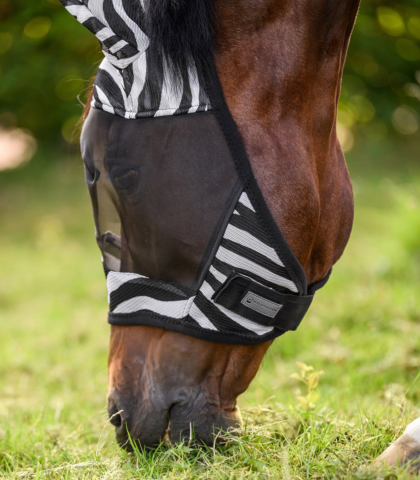 Zebra fly mask