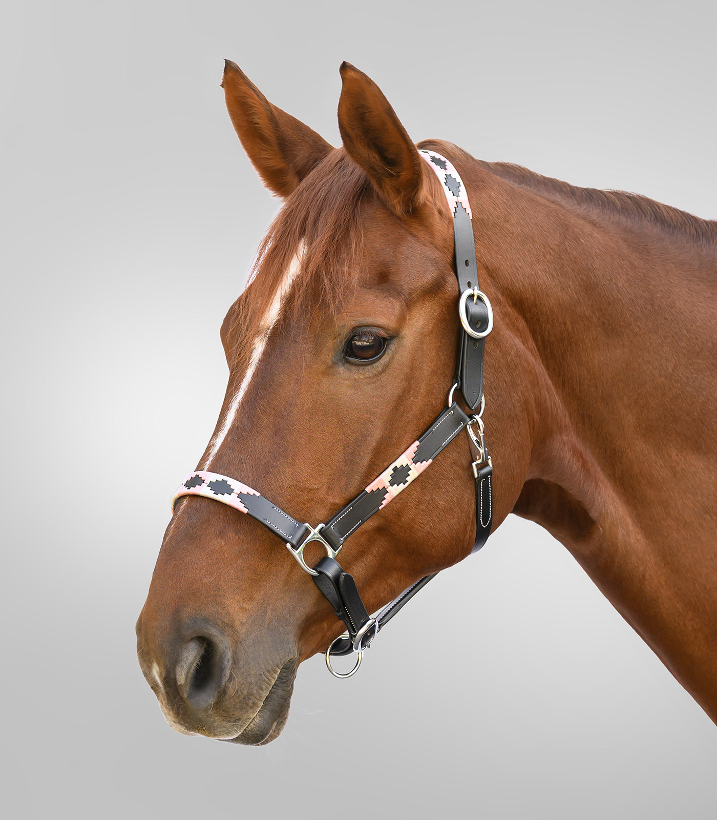 Lederhalfter X-Line Polo