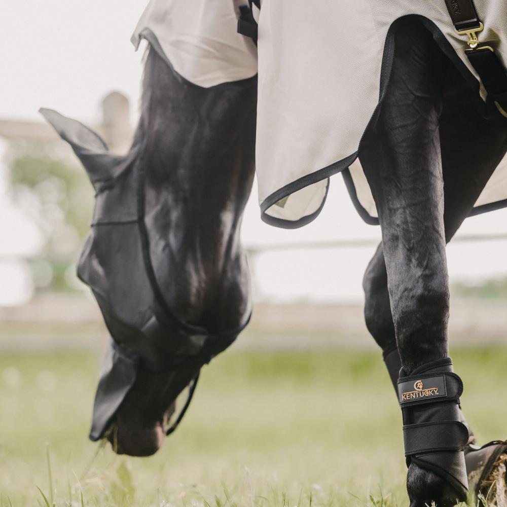 Classic fly mask with ears and nose