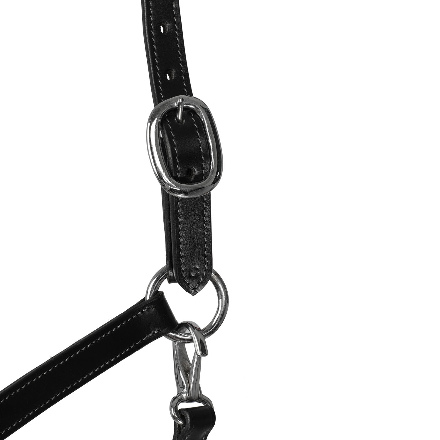 Anatomischer Halfter mit Stricknasenriemen aus Leder