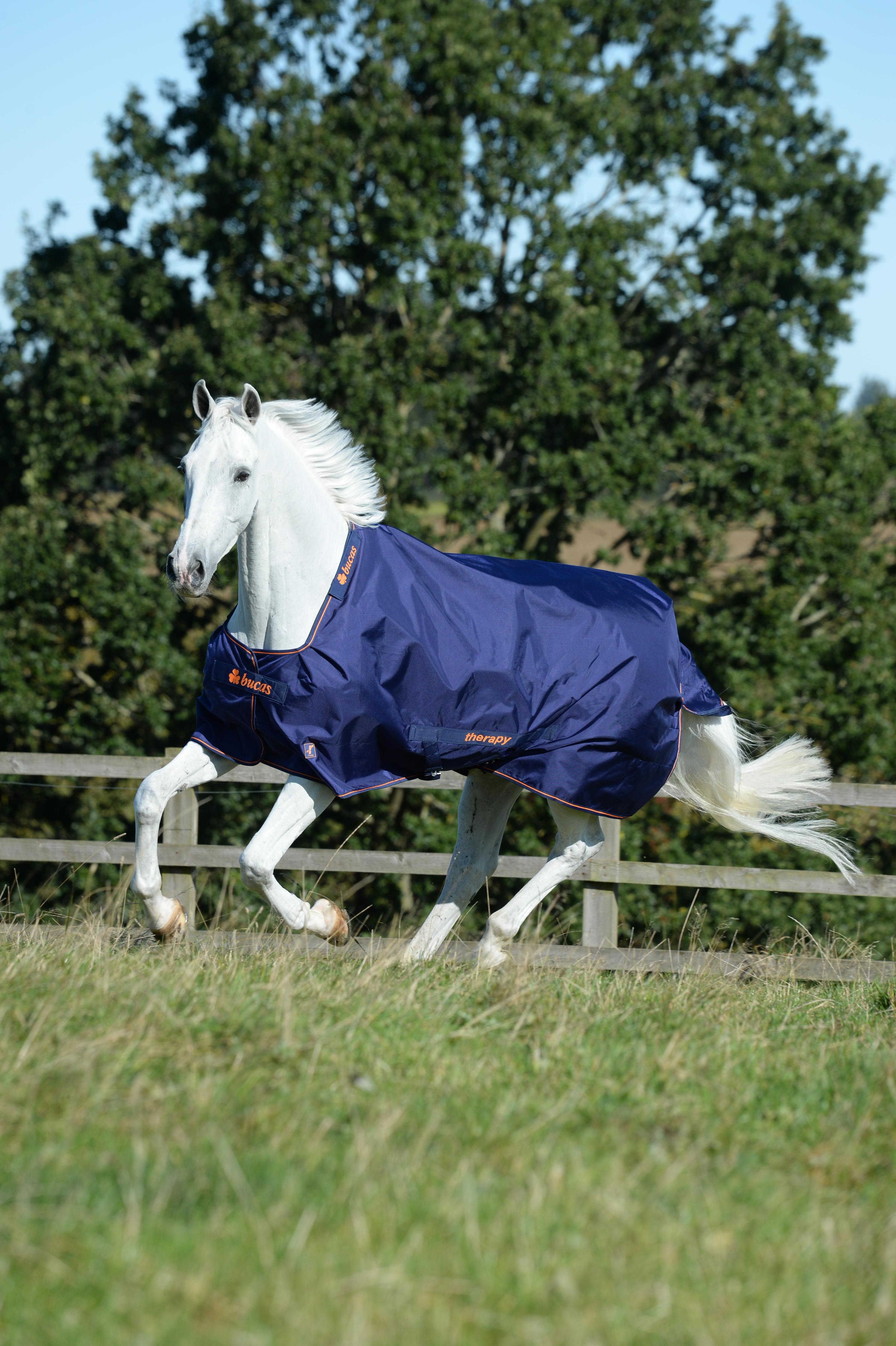 Therapy Blanket Turnout 150g in Navy/Orange