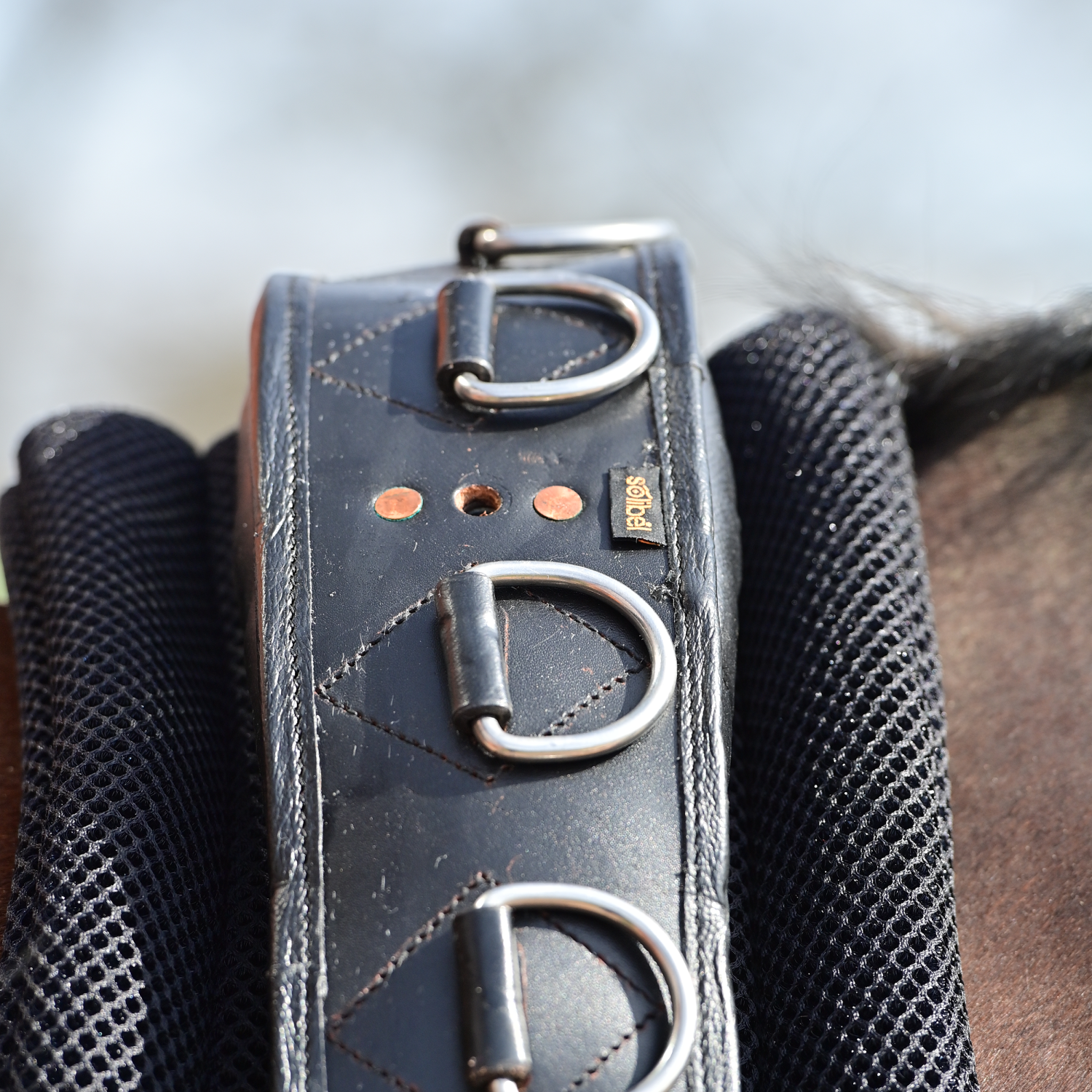 Lunging belt underlay 3D Air Effect