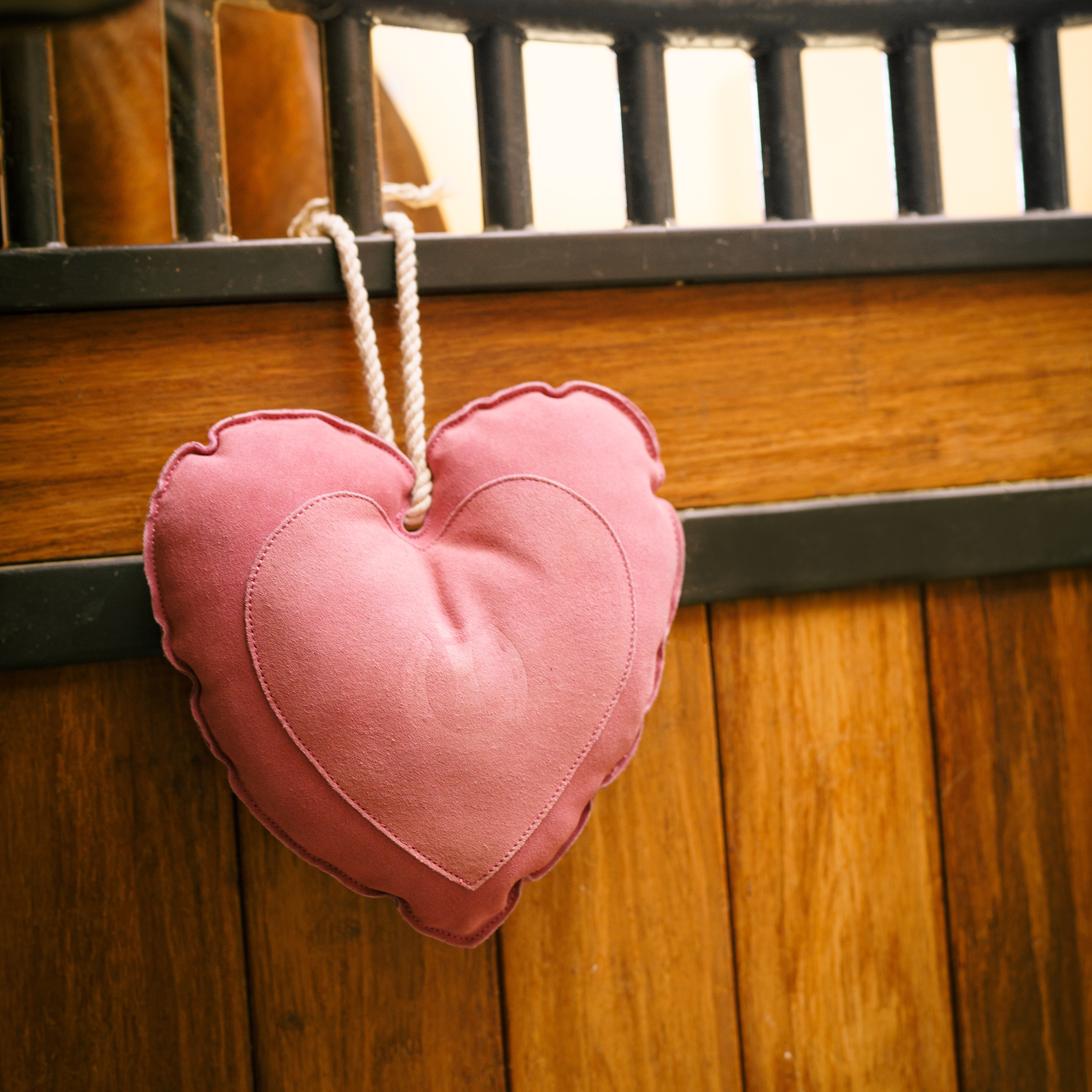 Stable buddy Heart