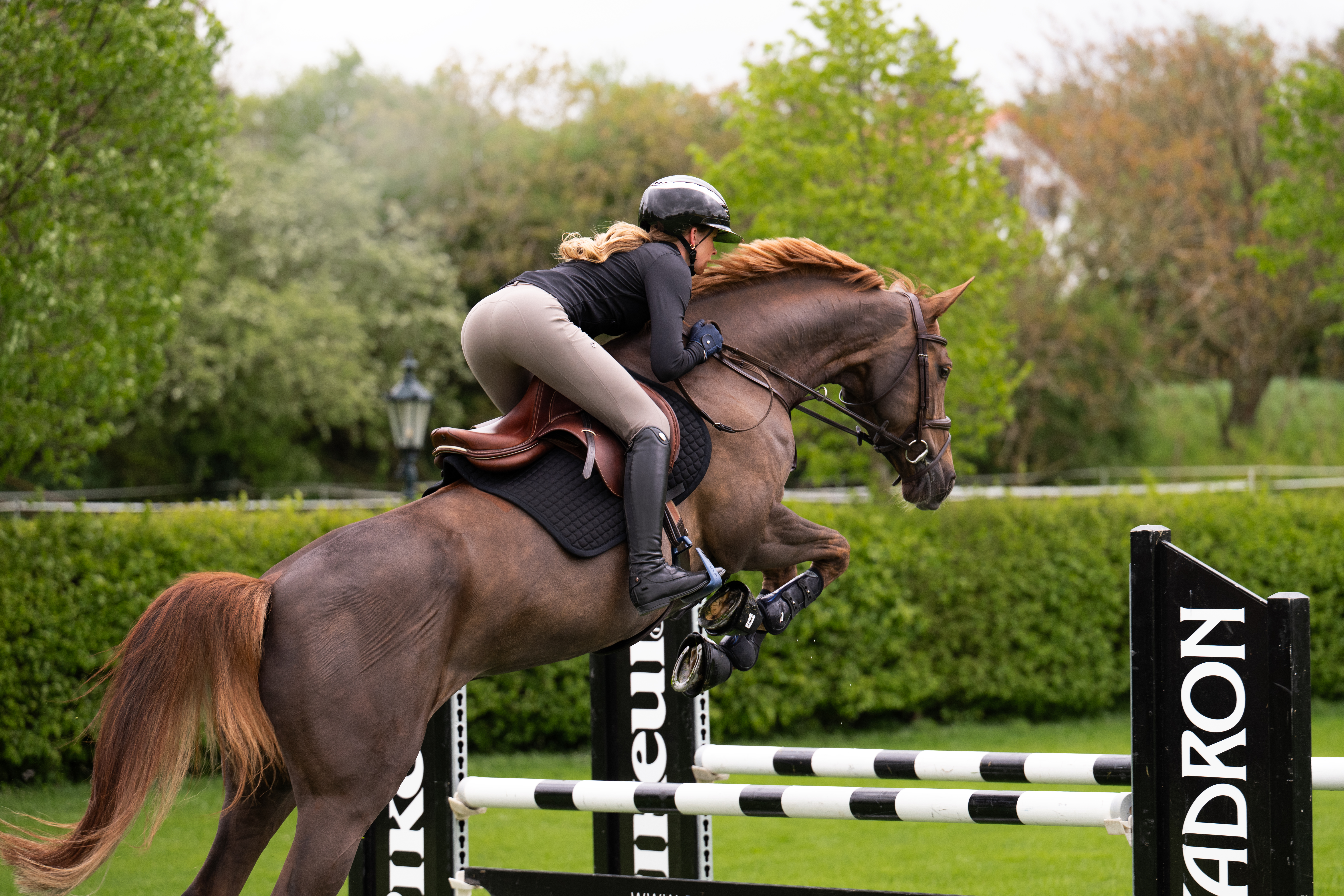 Riding breeches ladies Amia Sd Kn Riding breeches ladies Amia Sd Kn