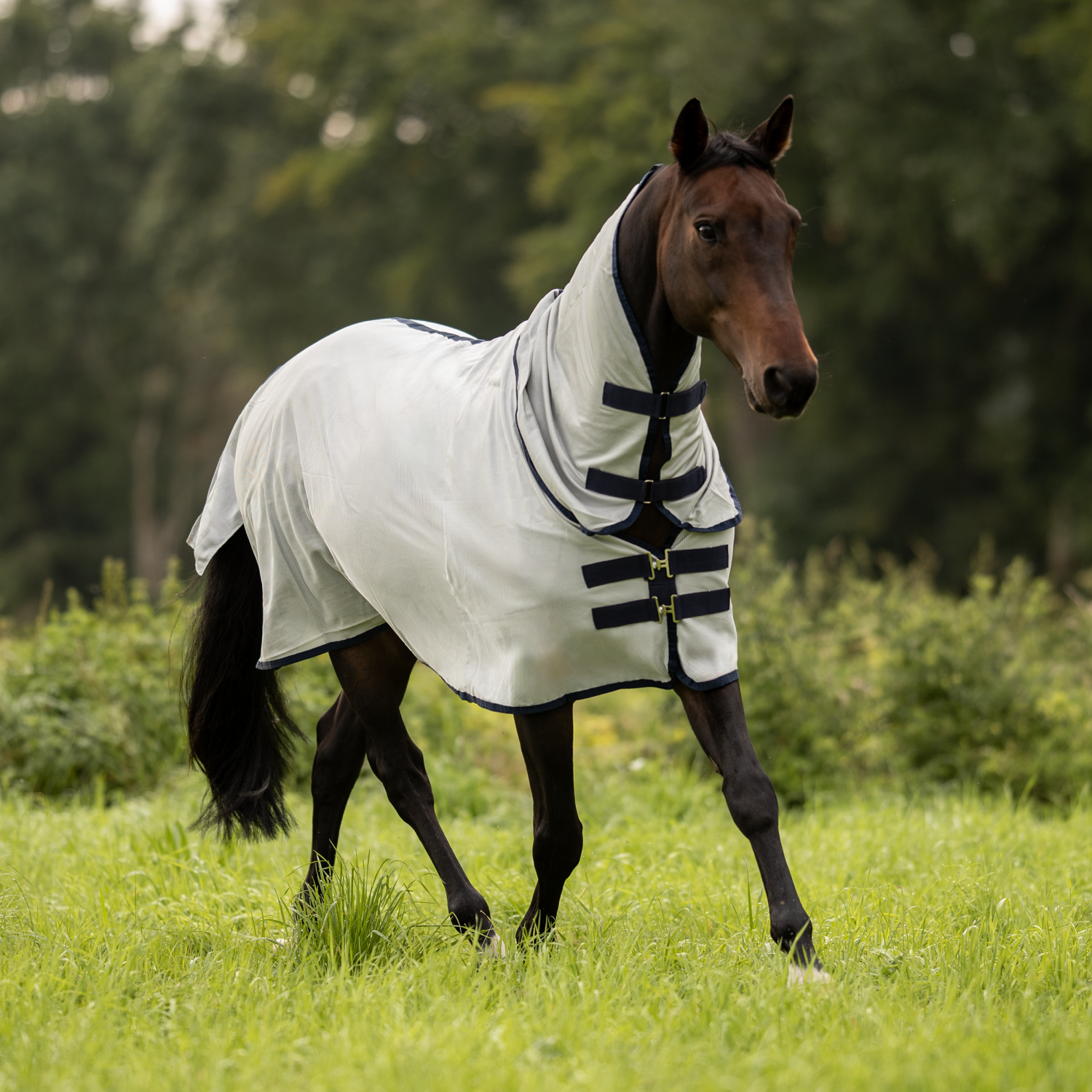 Outdoor-Fliegendecke Comfort Pro