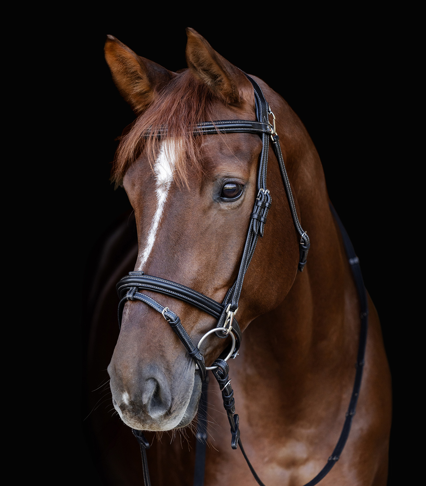 Snaffle bridle Work Waldhausen X-Line