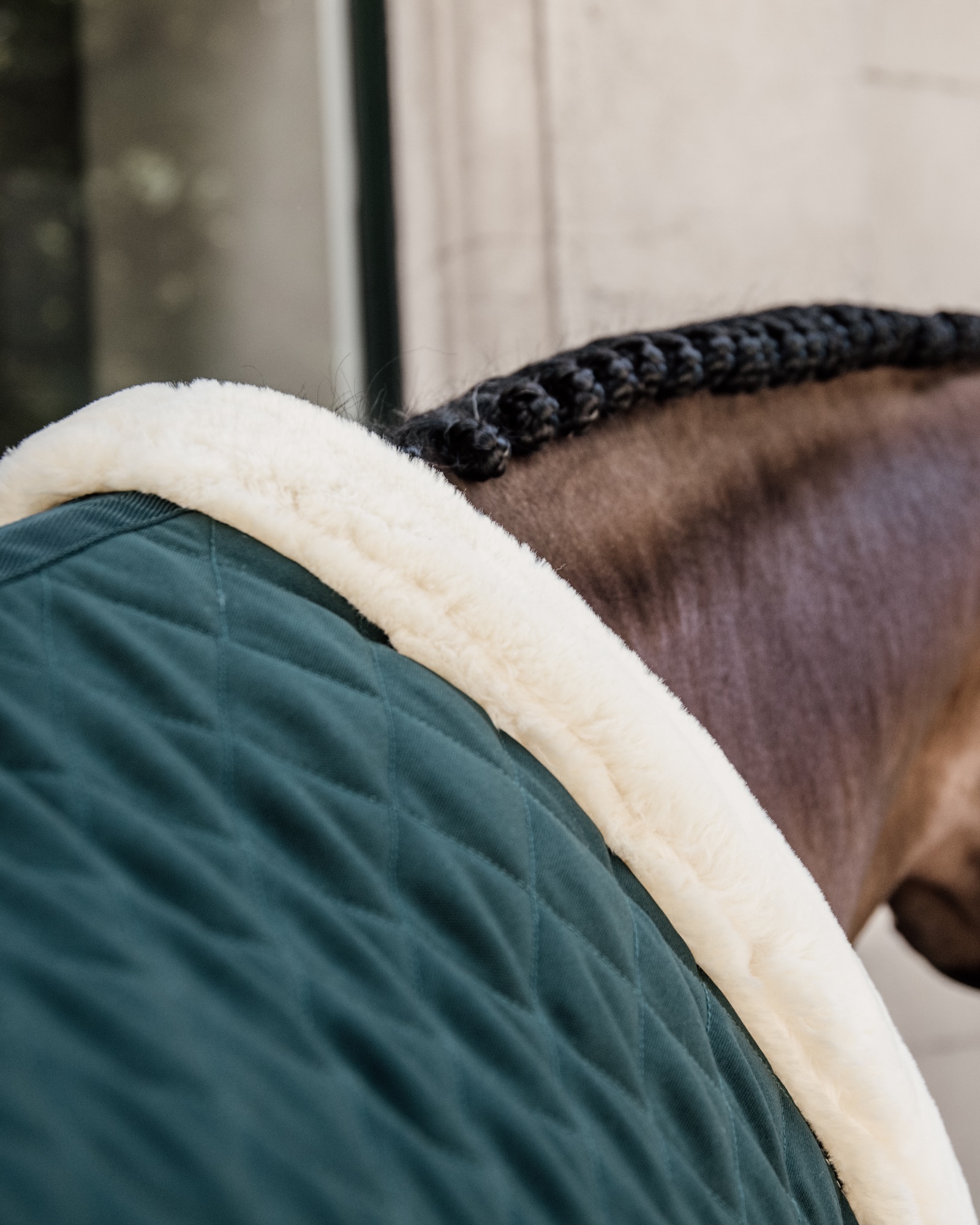 Show rug Show Rug 160g