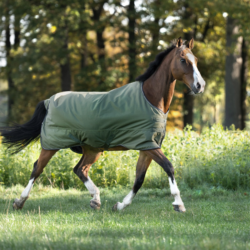 Outdoordecke "Montreal" 200g