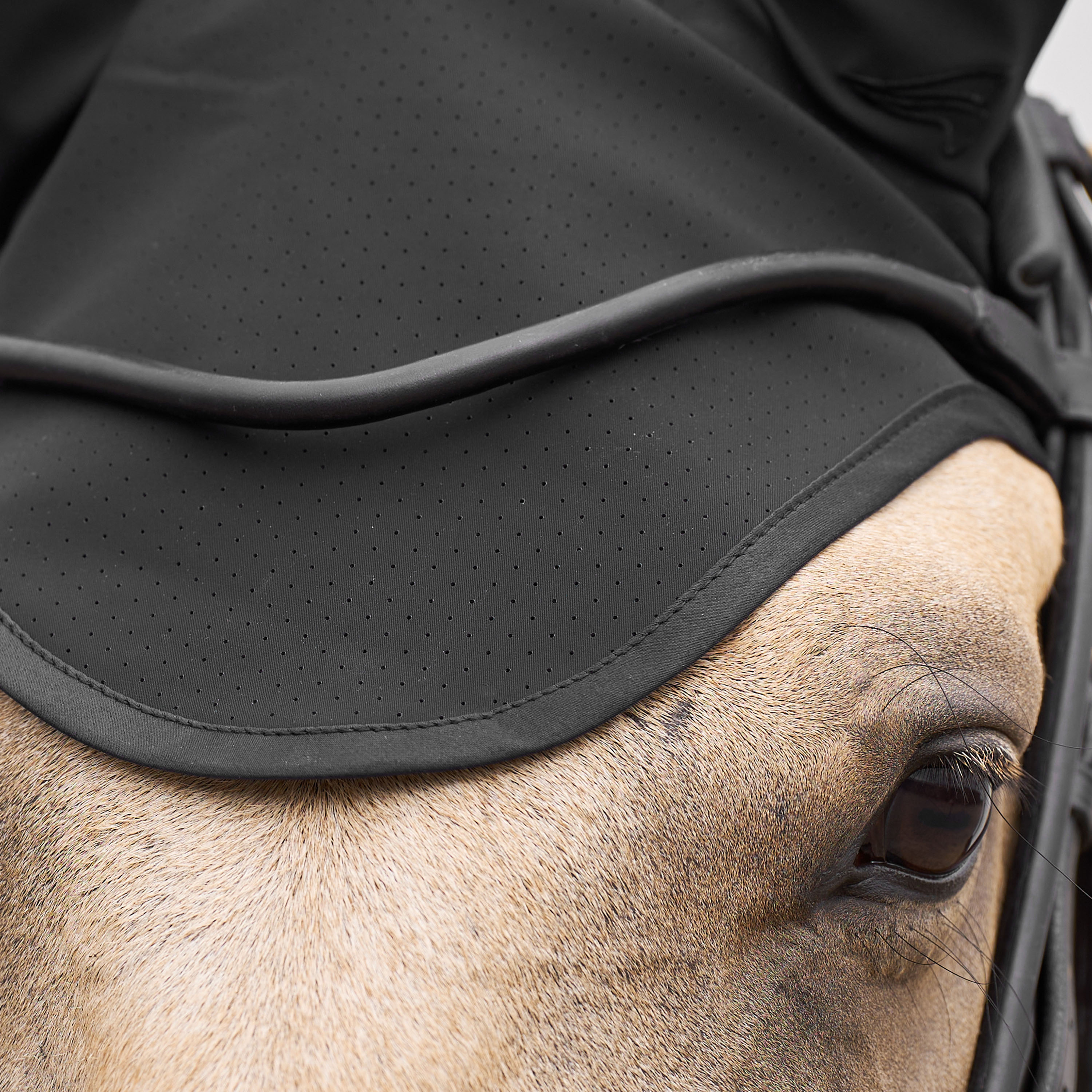 Fliegenhaube Coco