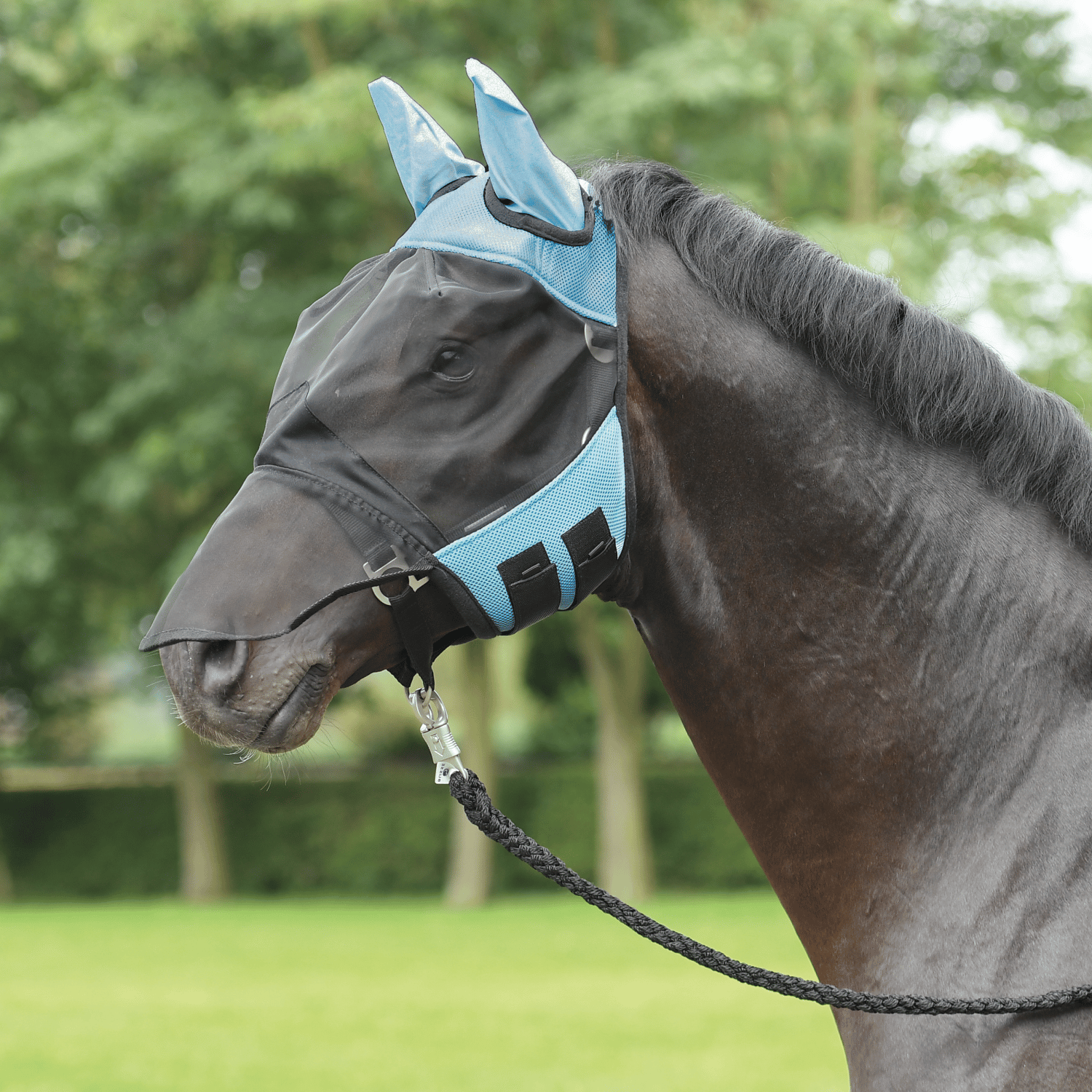 Fly mask Fly Cover Pro
