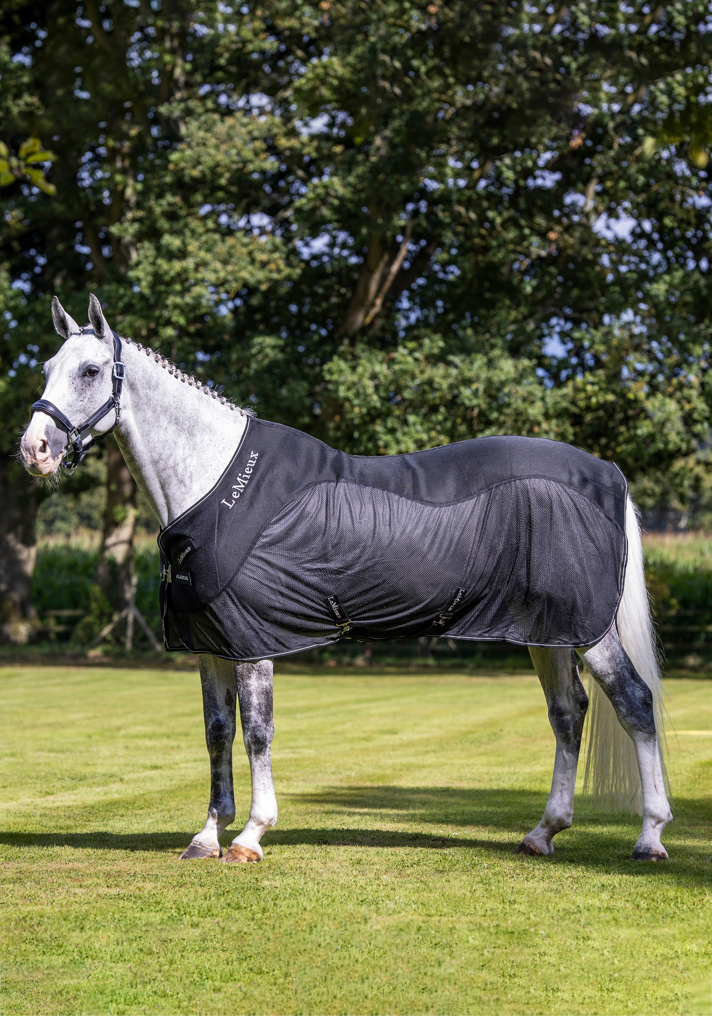 Kudos Mesh Sports cooling rug