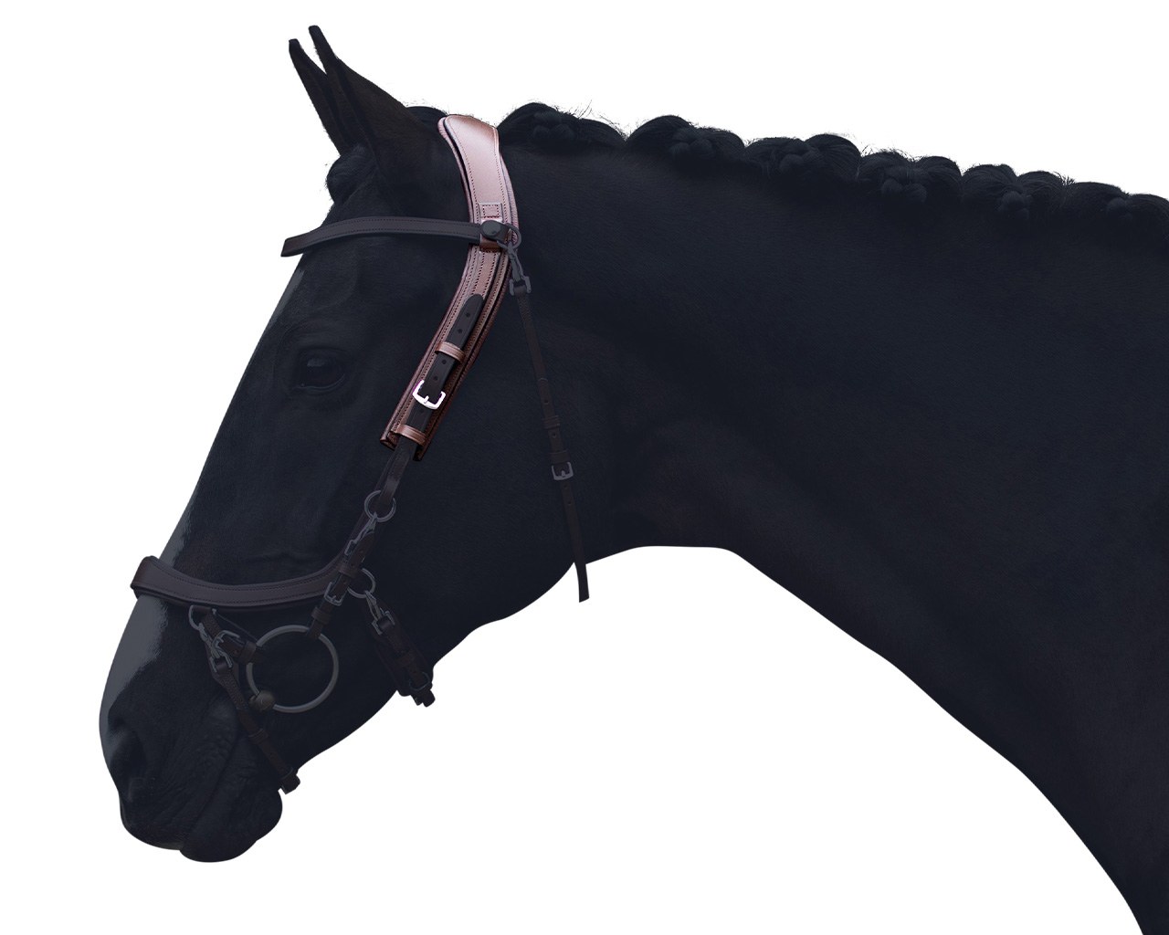 Headpiece FaySport