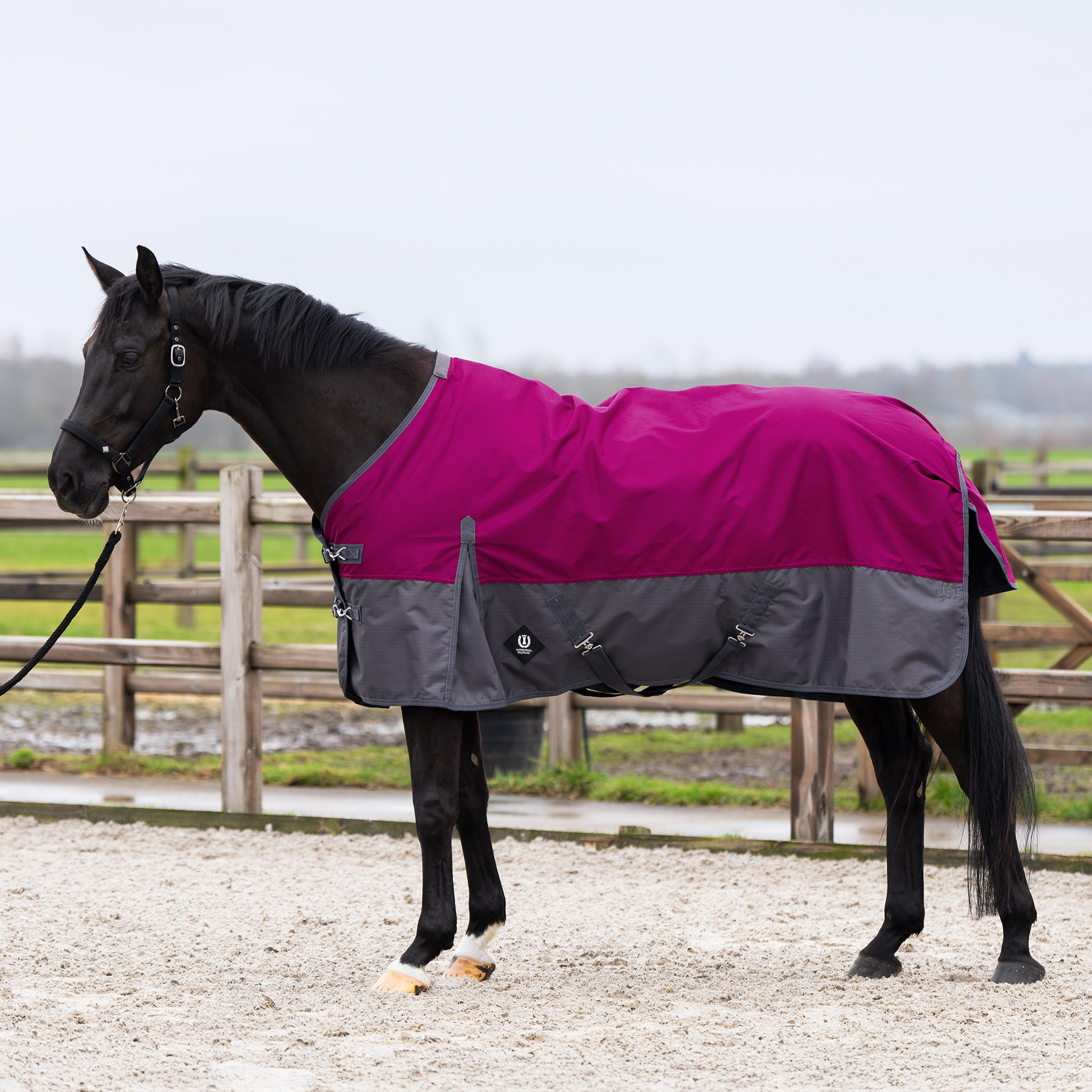 Outdoordecke Limited Sommer mit Halsteil