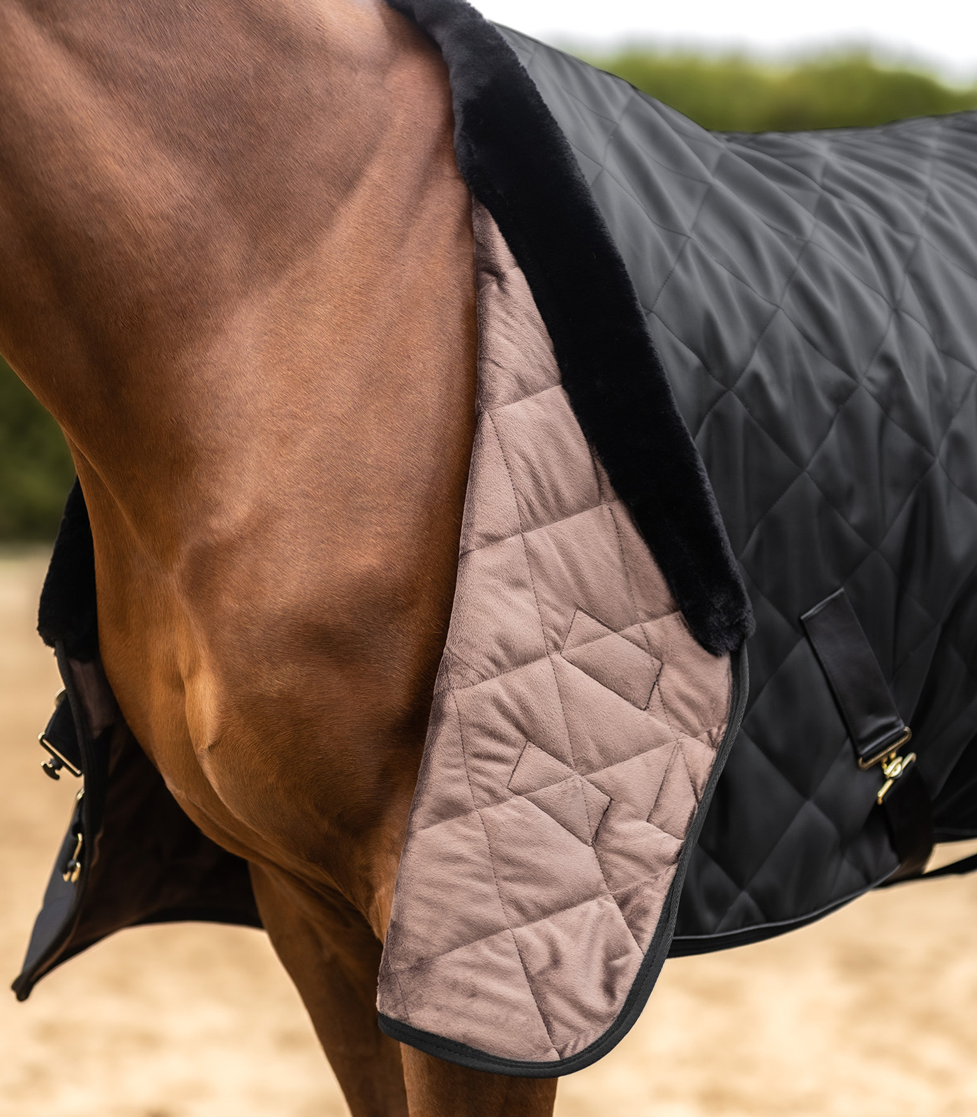 Exclusive transport blanket Exclusive transport blanket