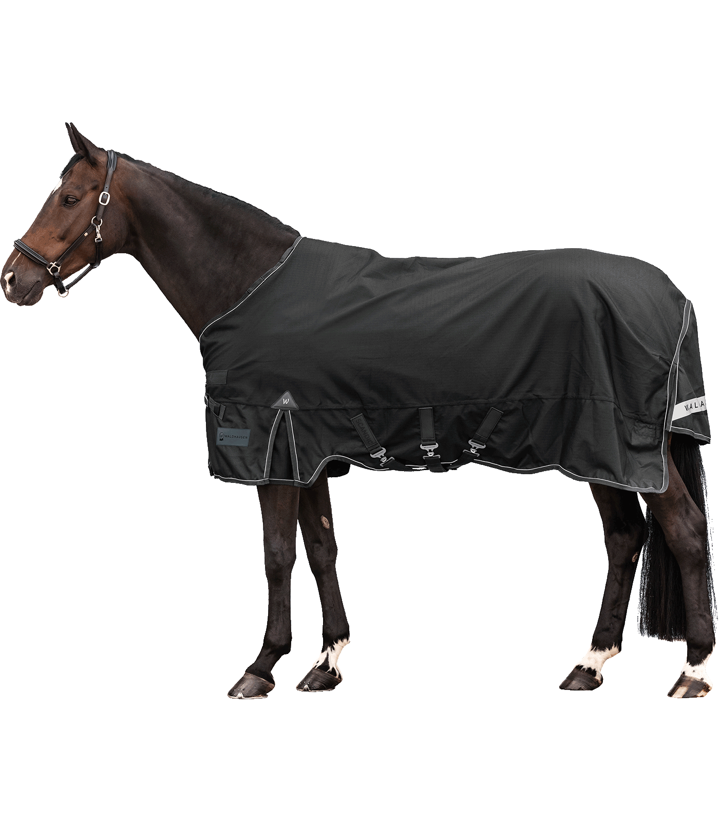Outdoor blanket Scandic, 300 g