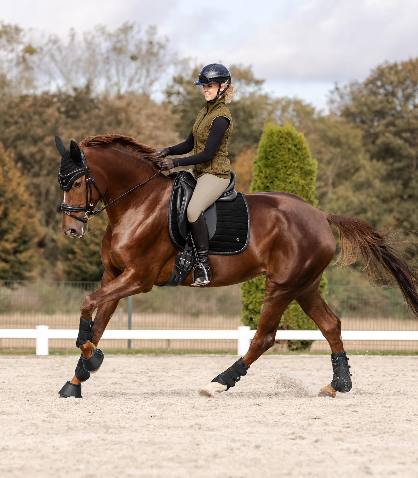 Fliegenohren St. Gallen