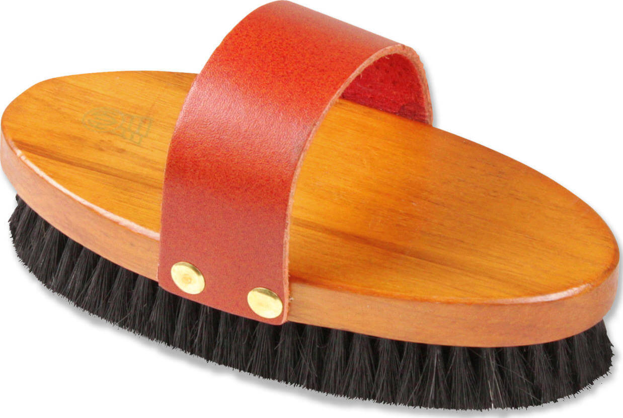 HW Kardätsche 19 cm, harte Borsten 3 cm