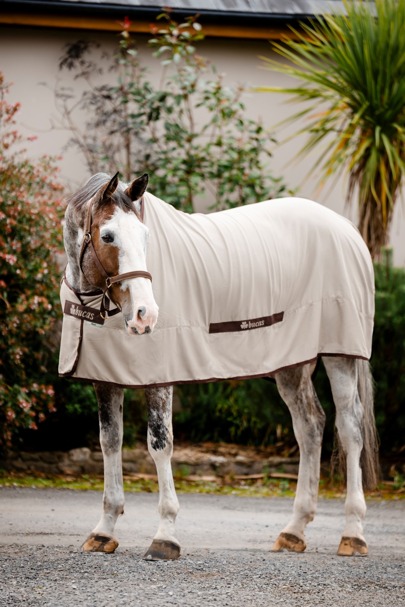 Stalldecke Cool Sheet Linen in Beige/Coffee