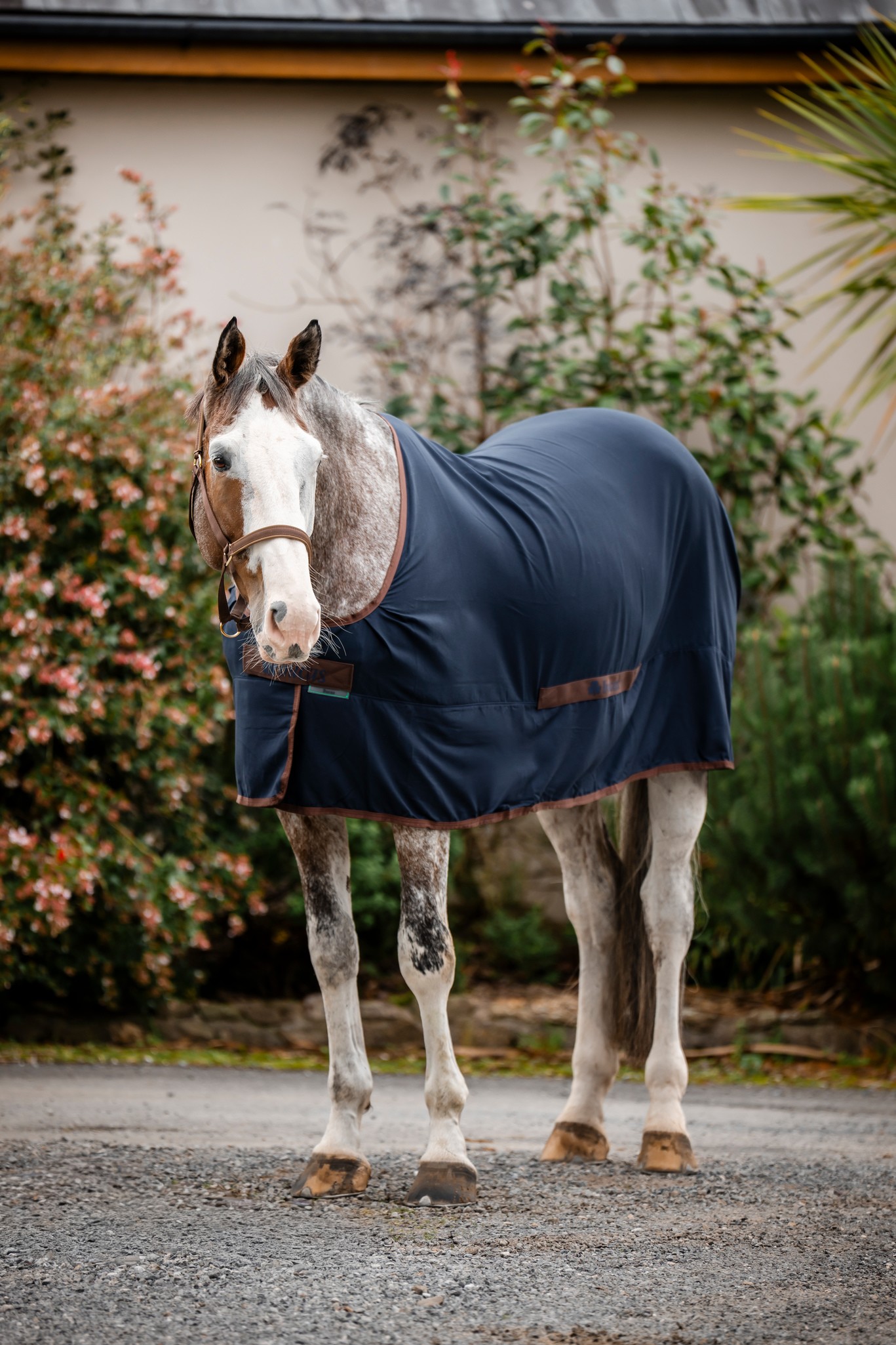 Stalldecke Cool Sheet Linen in Navy/Coffee