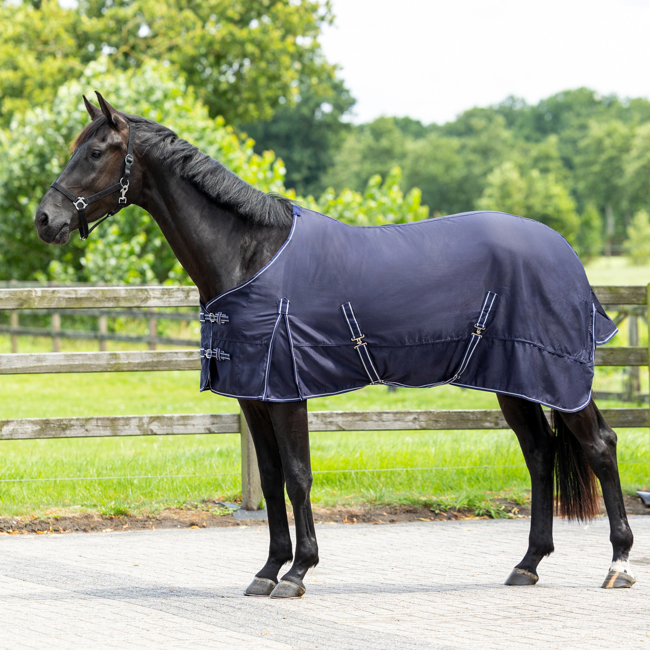 Basic summer blanket