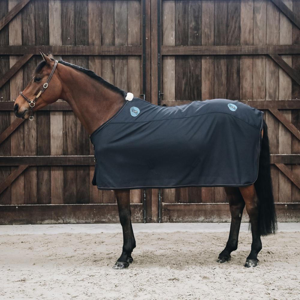 Blanket Magnetic Rug Recuptex