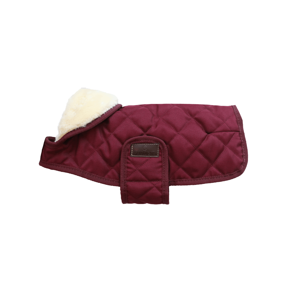 Manteau pour chien Original