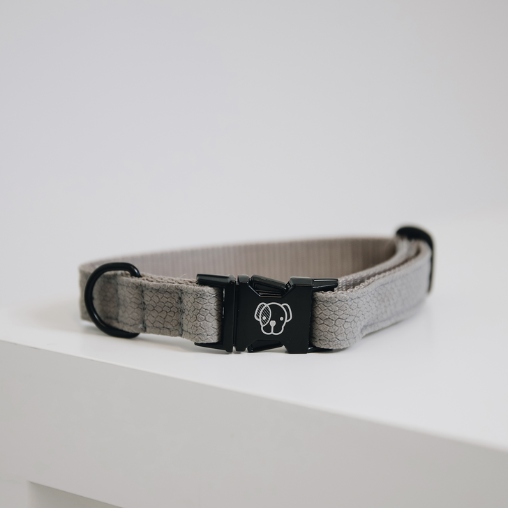 Dog collar lizard