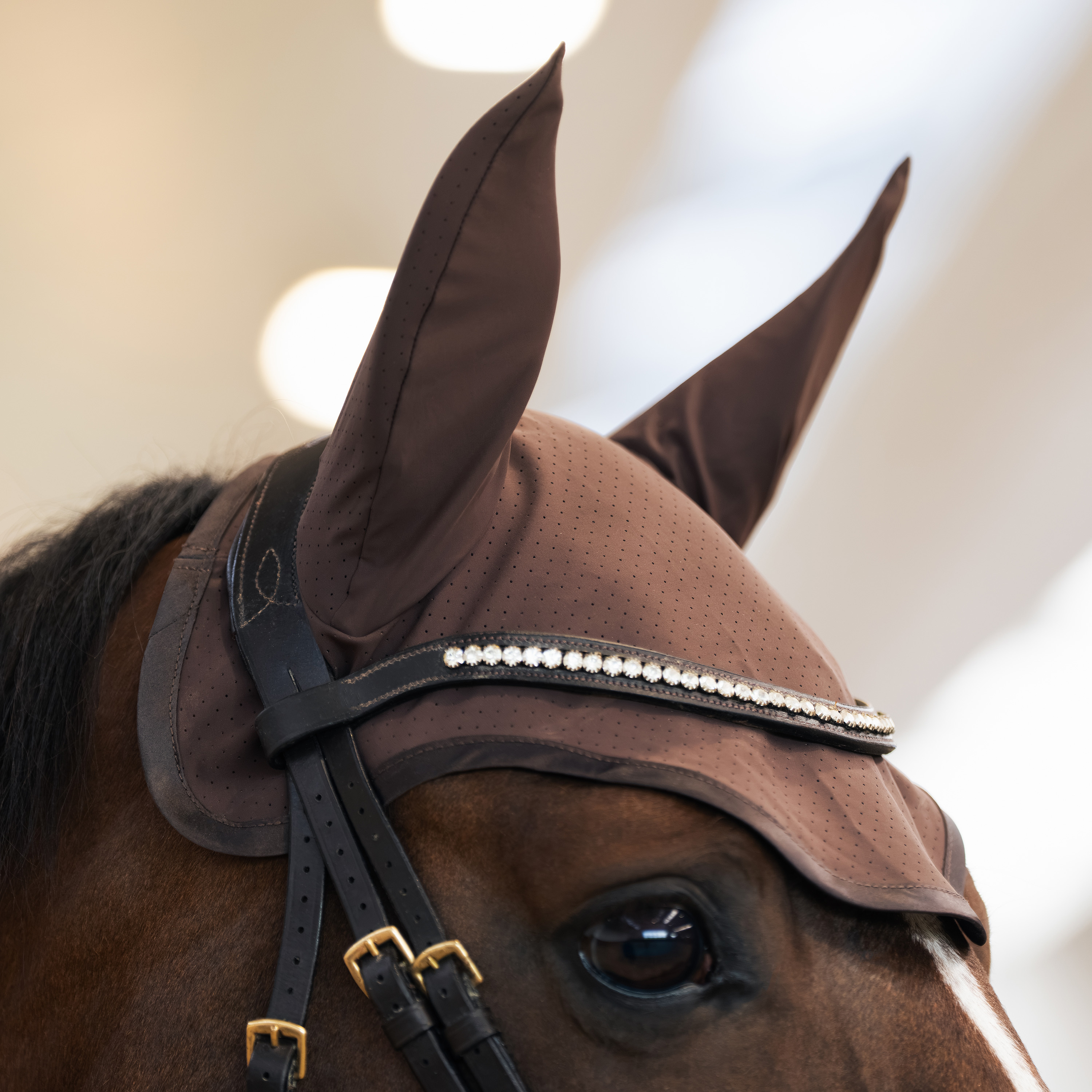 Fliegenhaube Coco