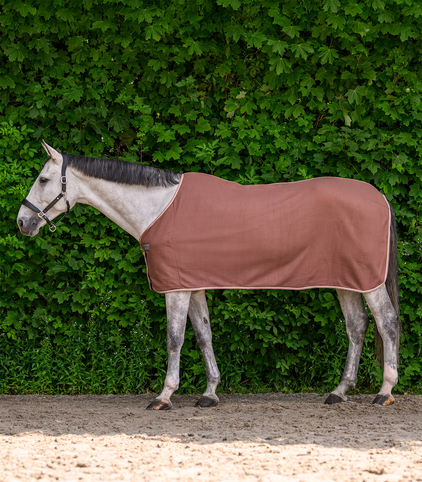 ECONOMIC Fleece rug, black, 075cm