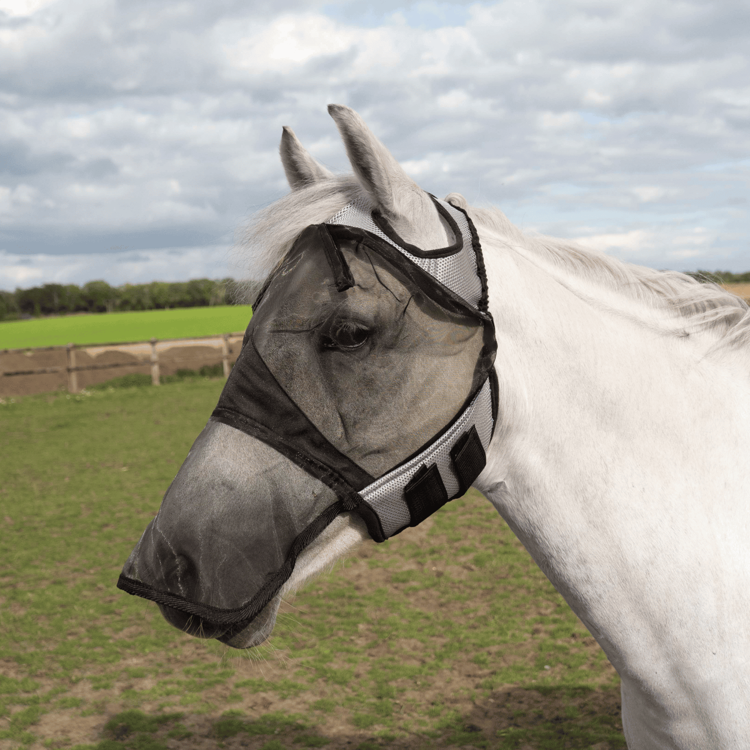 Fliegenmaske Fly Cover Pro Gap