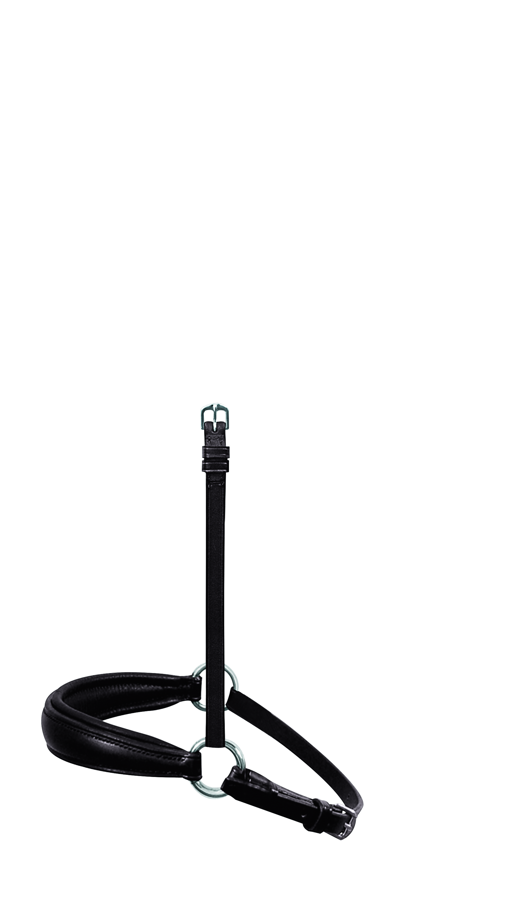Hanoverian noseband