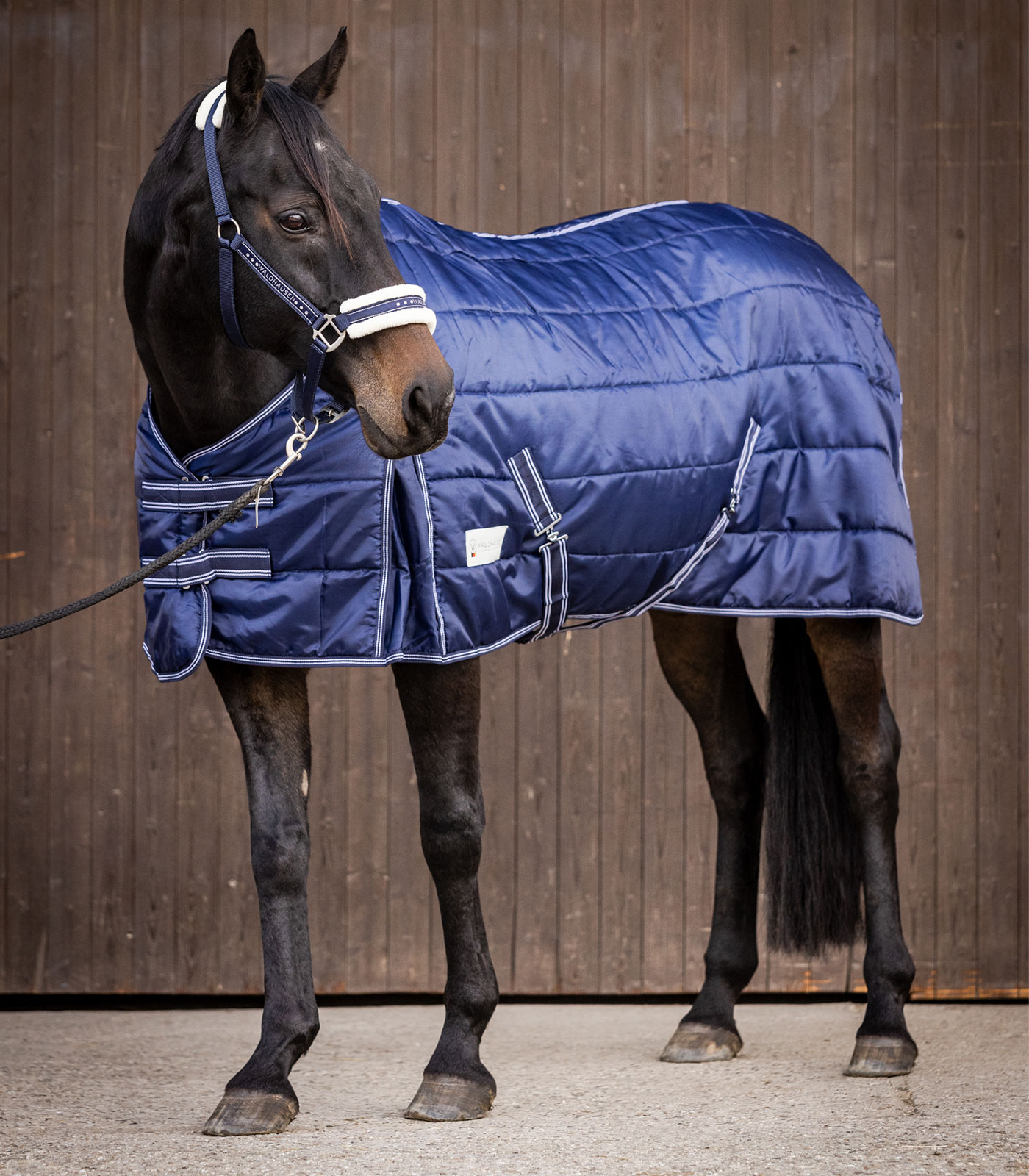 Stable blanket Economic 200 g