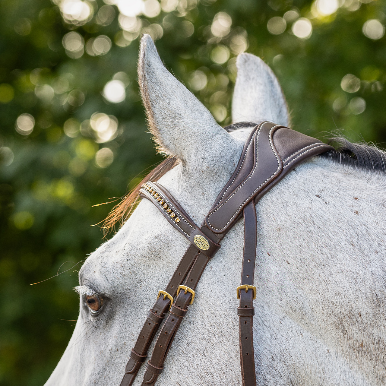 Snaffle Devi