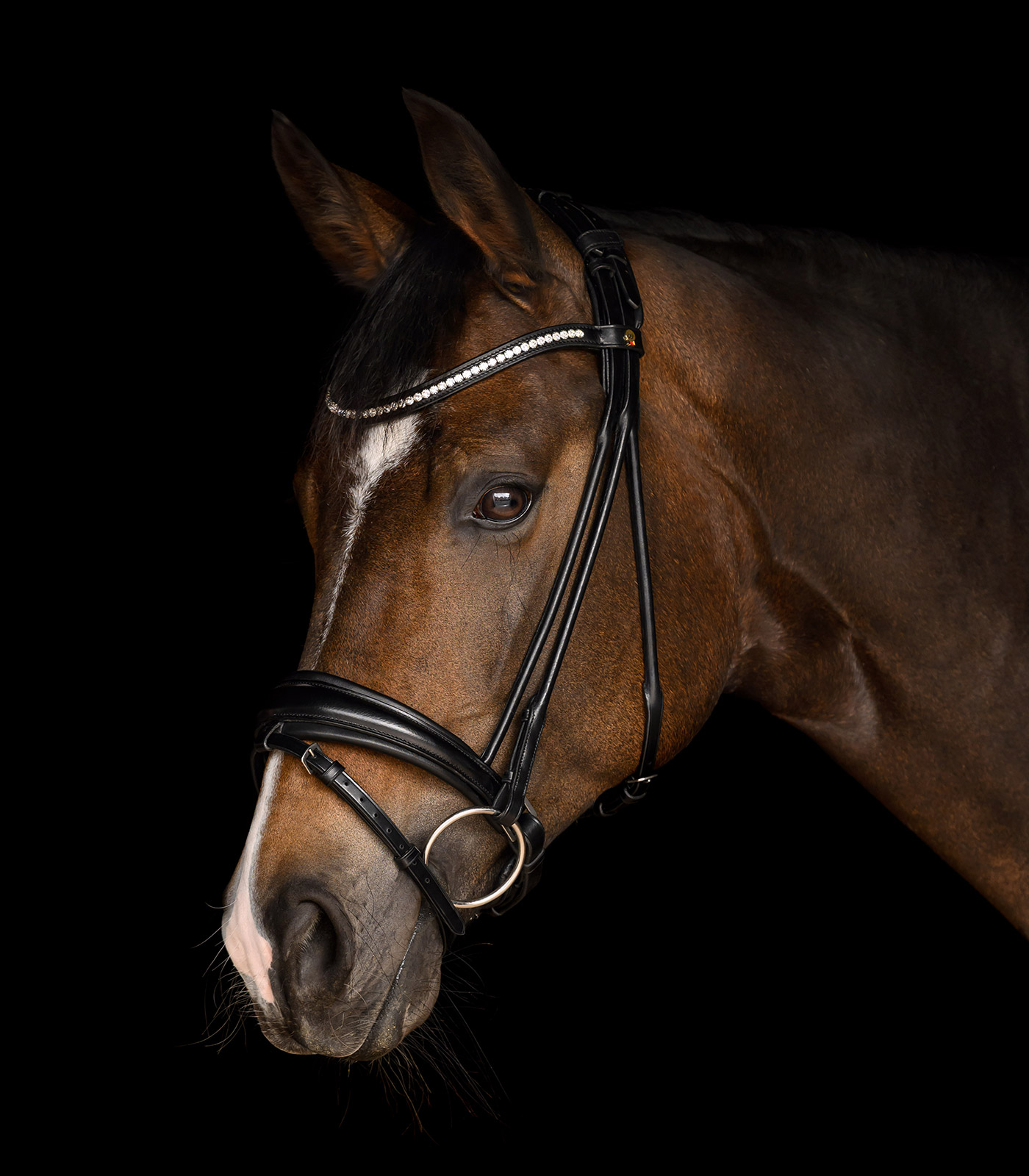 Trensenzaum Grace S-Line schwedisch komb.in schwarz