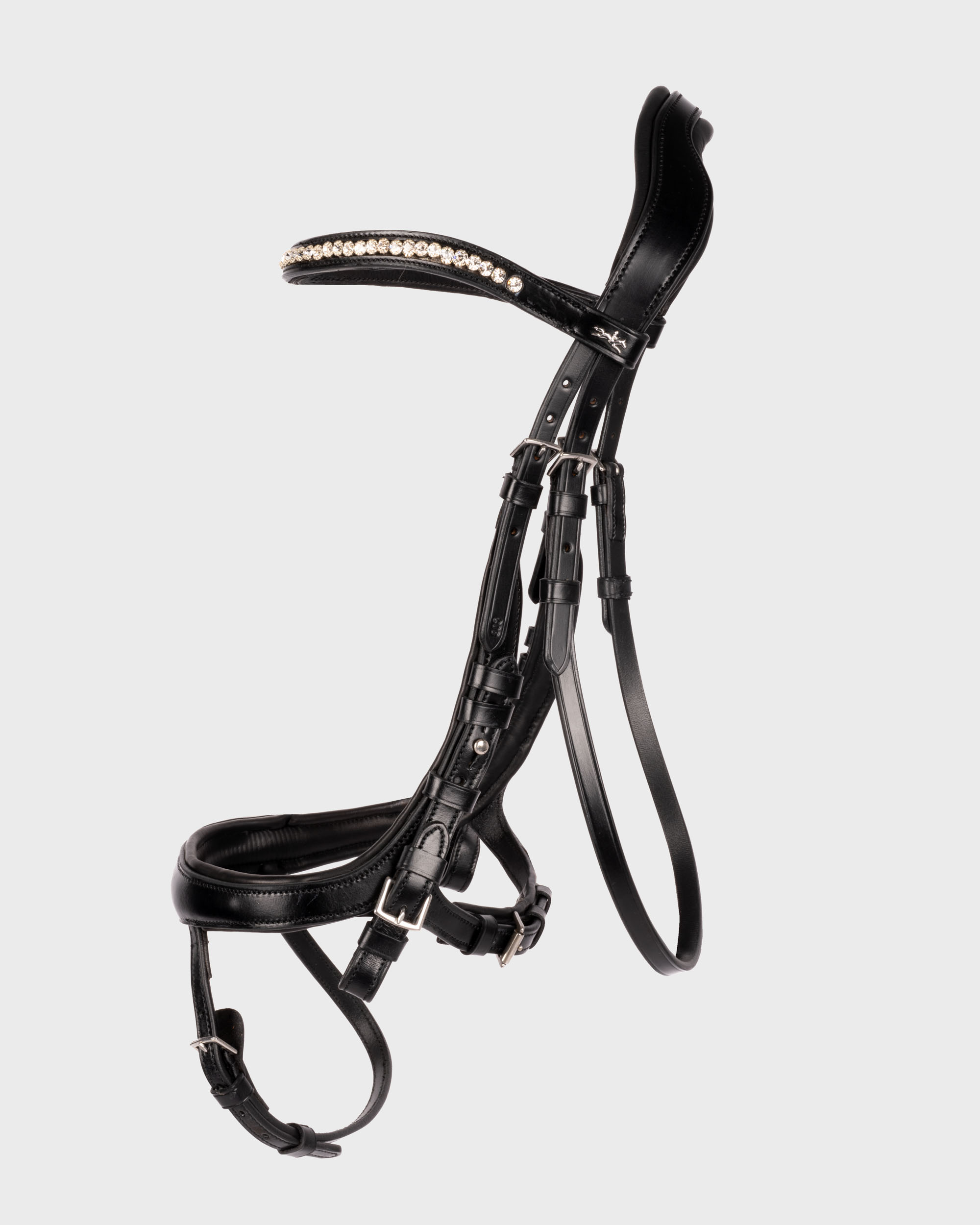 Spezialtrense Equitus Beta Spezialtrense Equitus Beta