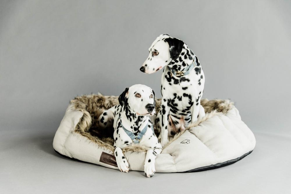 Hundebett Cave | Kentucky Dogwear