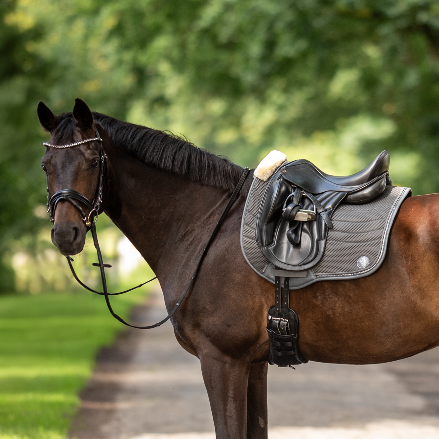 Schabracke 3D Air Effect KG