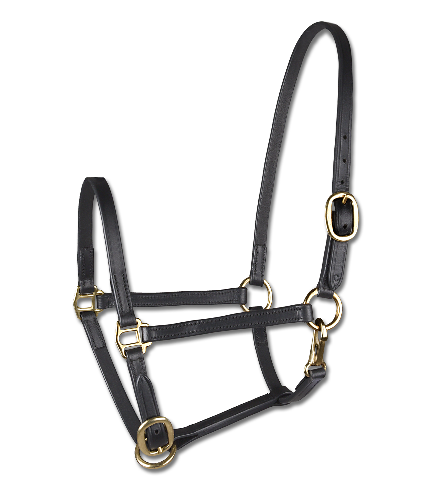 Foal presentation halter