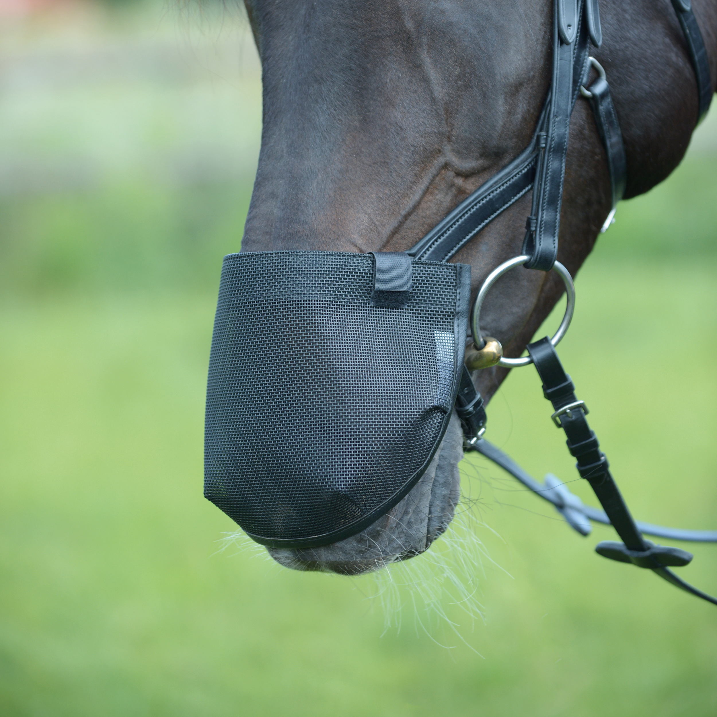 Protège-naseaux Fly Professional Anatomic