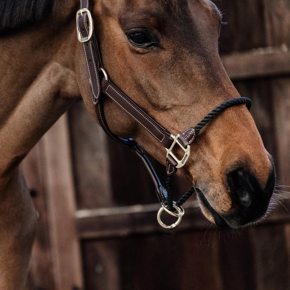 Rope leather halter