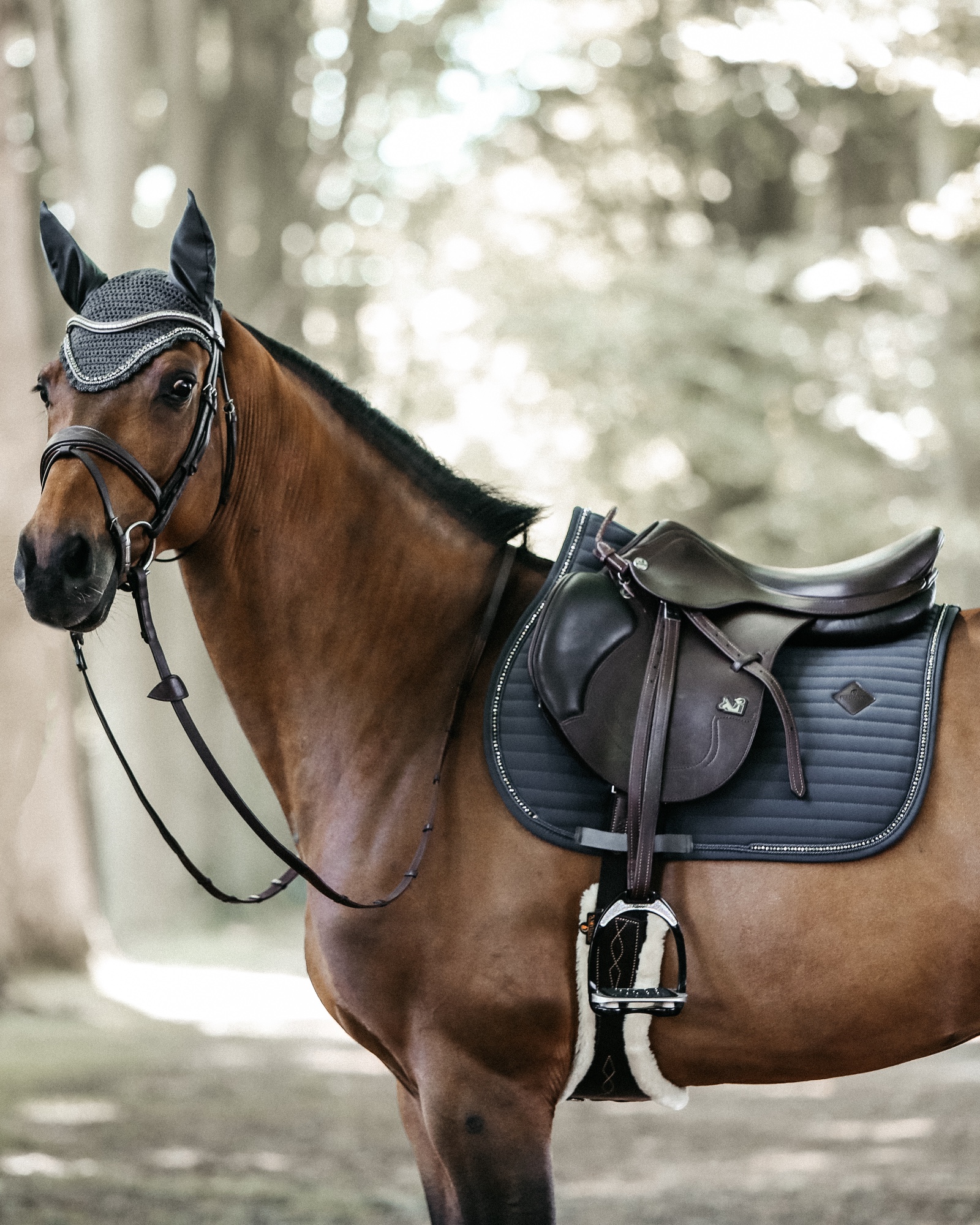 Jumping saddle pad Pearls