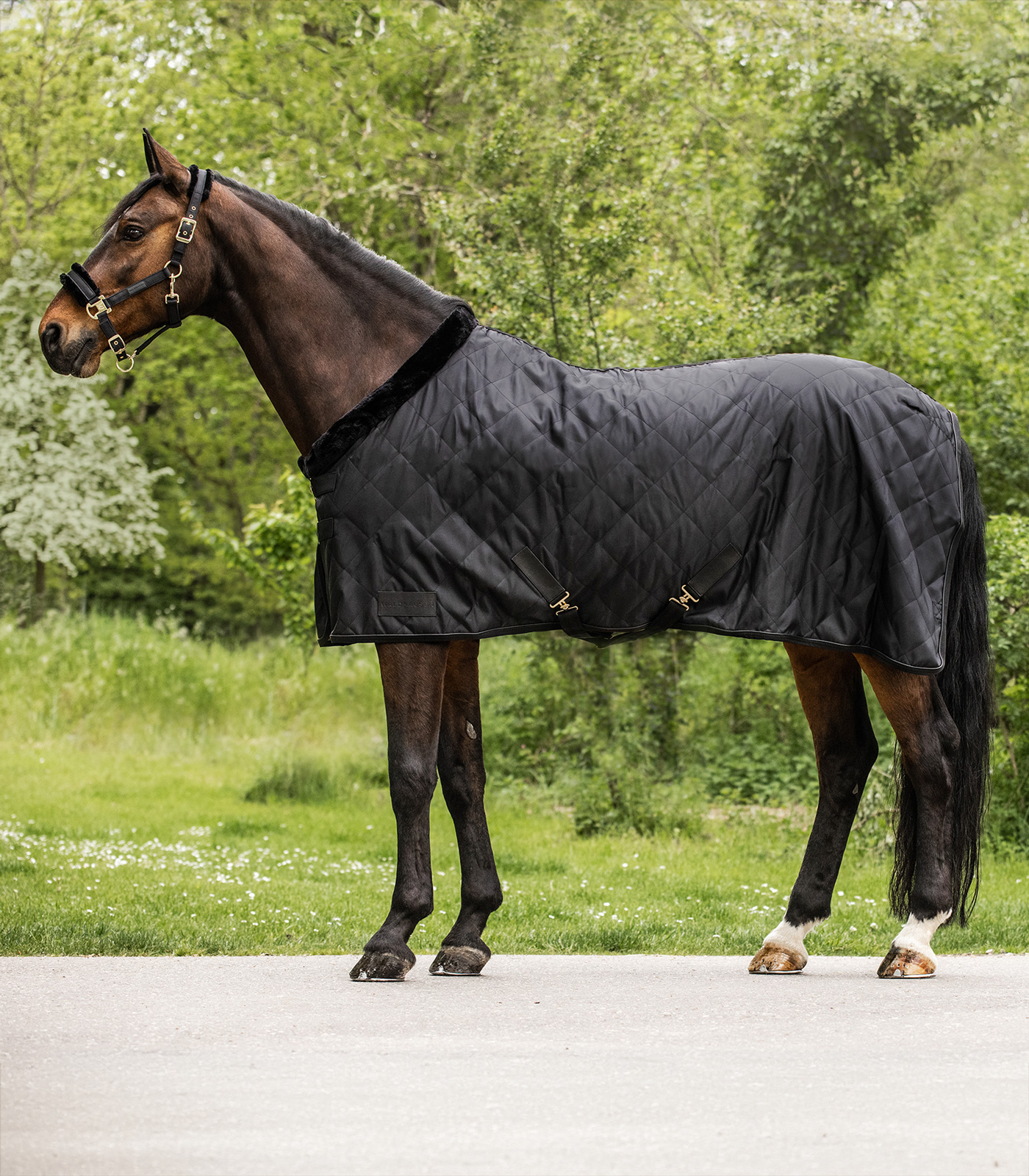 Exclusive transport blanket
