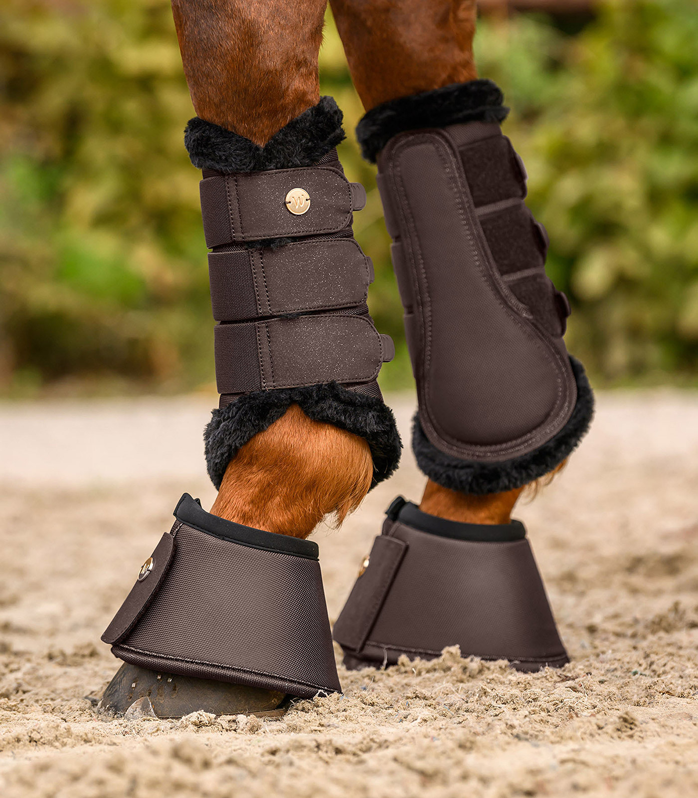 Bell boots Phoenix