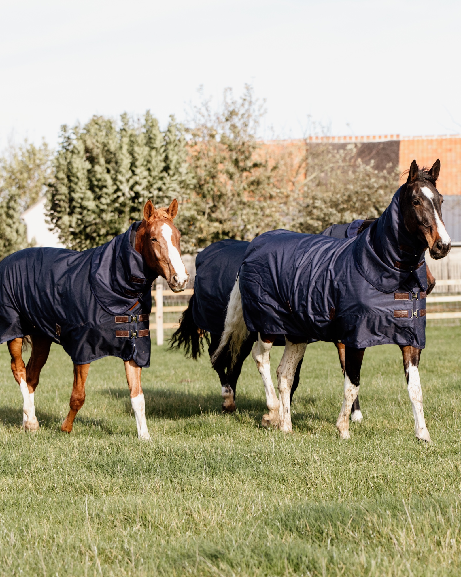 All Weather Quick Dry Fleece rug with neck section 150g
