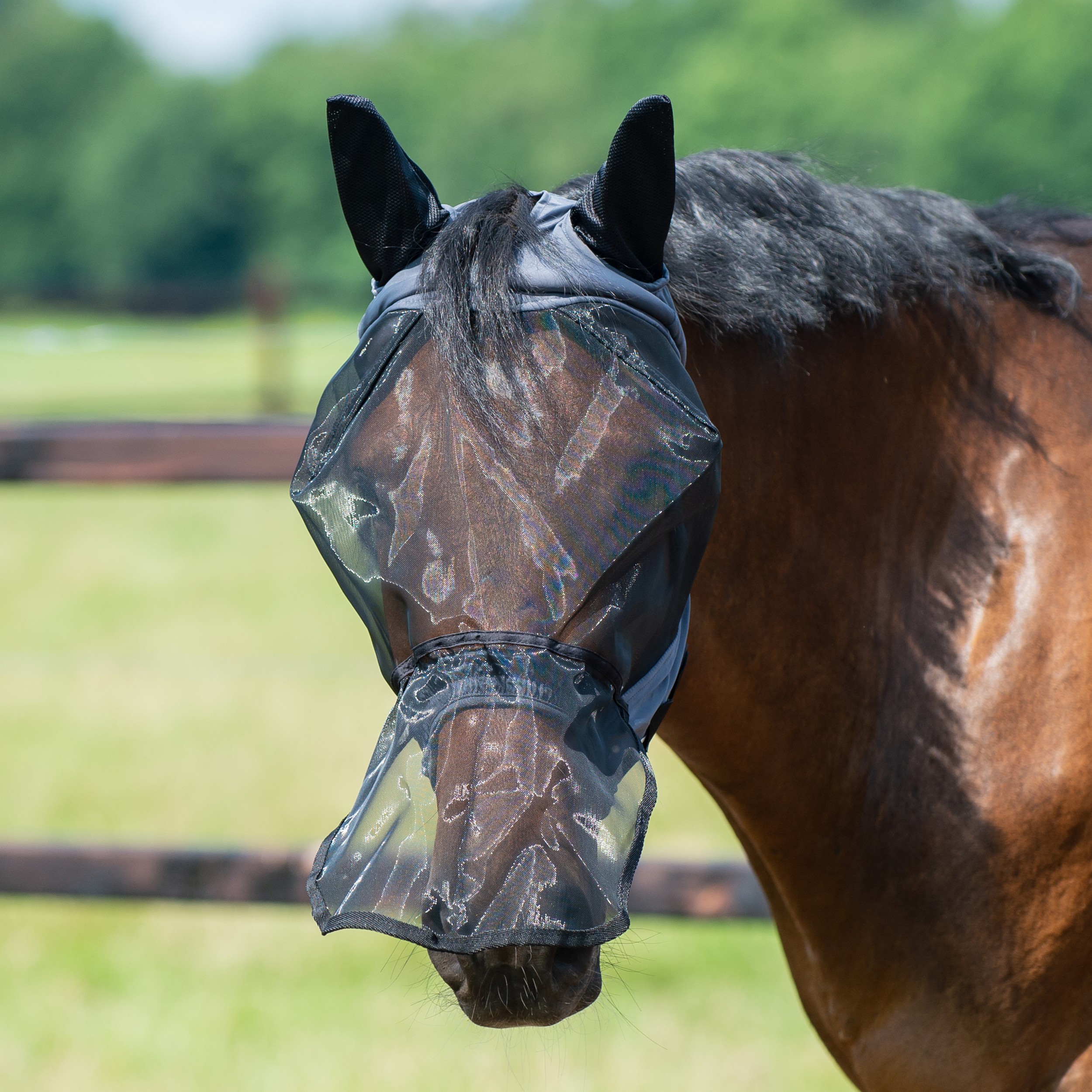 Masque anti-mouches Fly Buckler Gap Plus