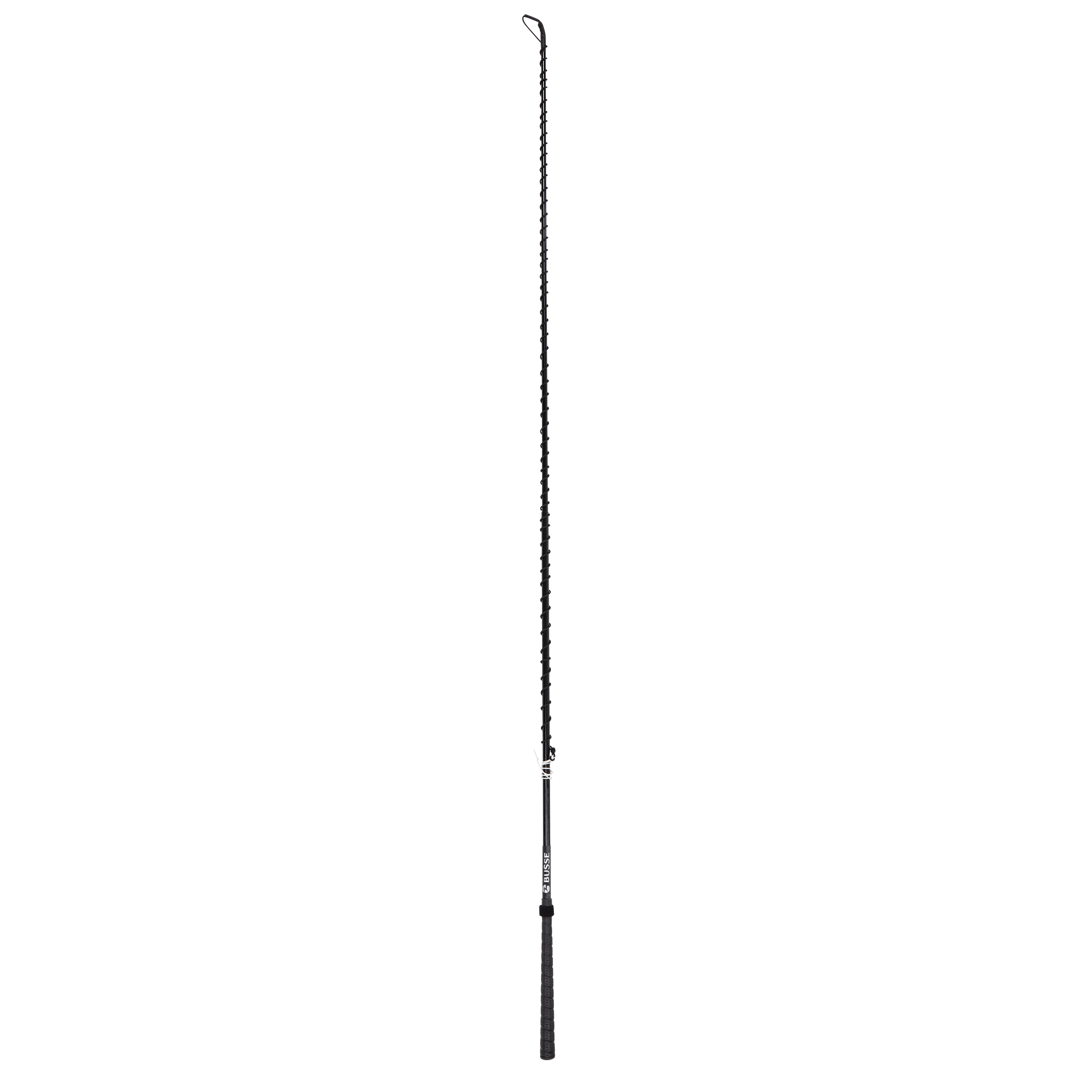 Lunge whip CONNECTION