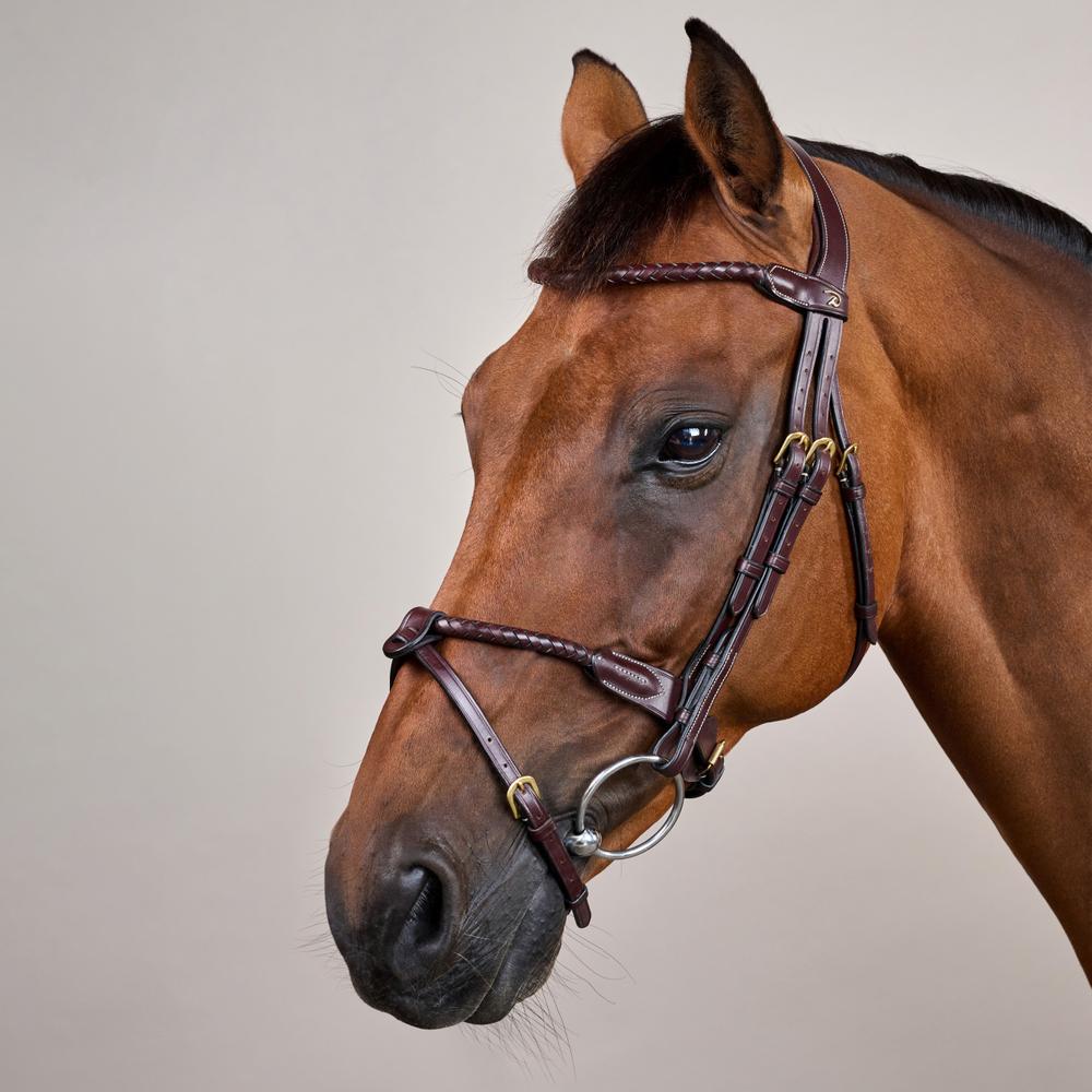 Rund geflochtene Trense mit kombiniertem Reithalfter DY | Dy'on